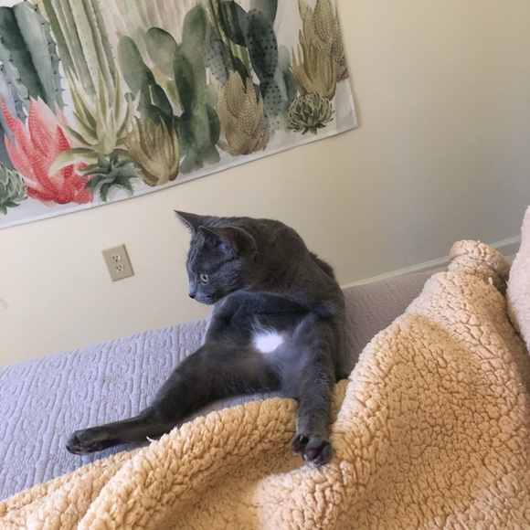 Meet Your Posher, Emma! 🔅 - Picture 4 of 9